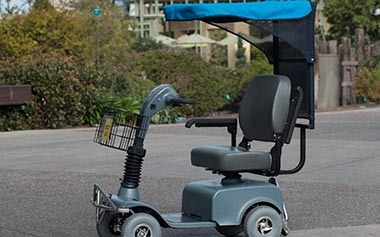 ECV with Canopy Image